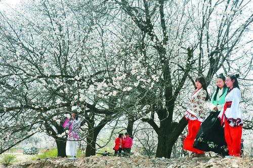 看球帝app下载 - 体育直播界面